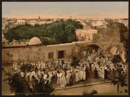 Tunis - Schlangenbeschwörer