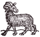 Widder